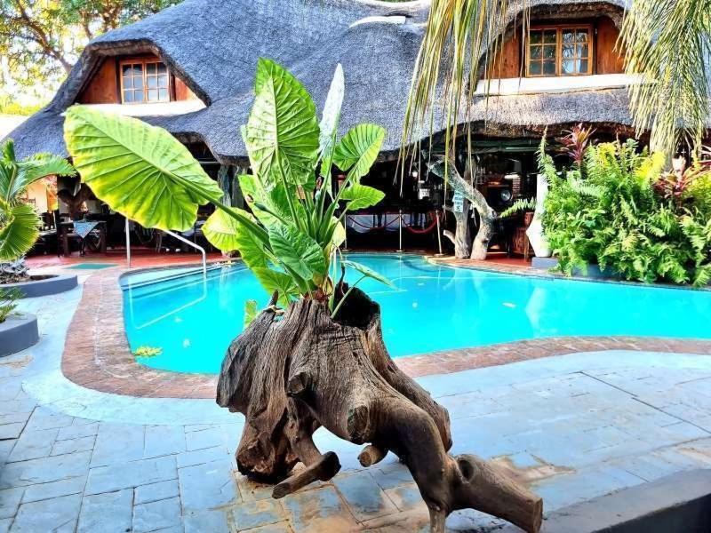 Dei Gratia Guest House Musina Exterior foto