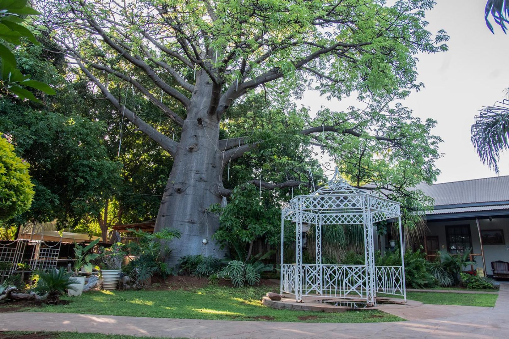Dei Gratia Guest House Musina Exterior foto